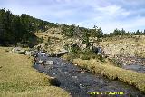 Septembre 2006. Site des Bouillouses - La têt (66)