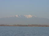 Janvier 2005. L'étang de Canet-en-Roussillon et le Canigou (66).
