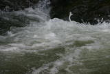 Jeux d'eaux - Janvier 2005. Un "torrent" dans un canal d'irrigation près de Millas (66).