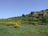 Paysages&nbsp;-&nbsp;Juin 2004. Sur les auteurs de Millas (66).