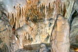 Grotte des grandes canalettes&nbsp;-&nbsp;Salle blanche : d&eacute;tail.