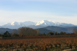 Canigou - Décembre 2004. Le massif du Canigou (66).