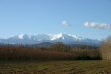 Canigou - Décembre 2004. Le massif du Canigou (66).